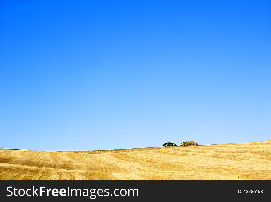 Hay Bales on a yellow field in the tuscany country