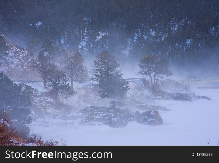 Winter Snow Blow Landscape