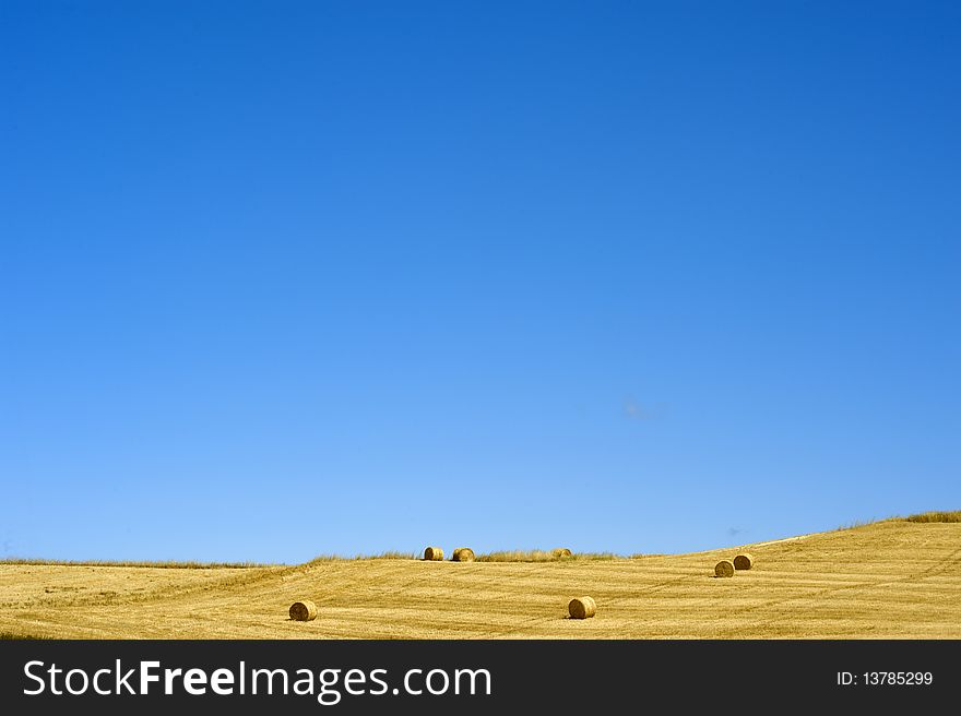 Hay Bales on a yellow field in the tuscany country