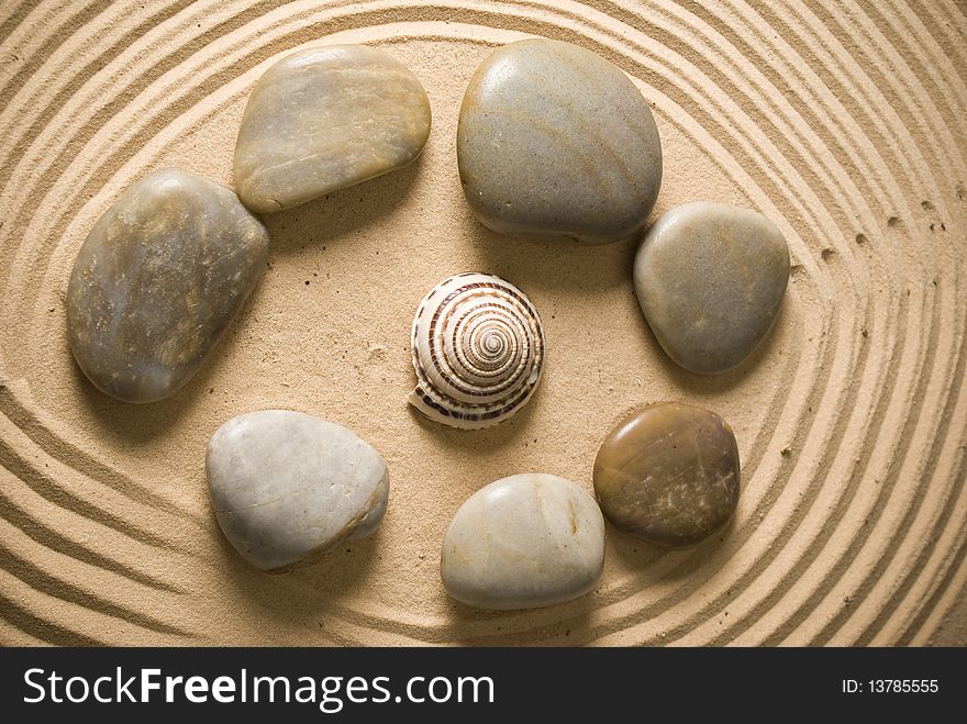 Stones and seashell on brown sand