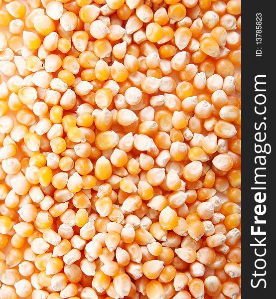 Yellow corn texture. Raw food image. Grain
