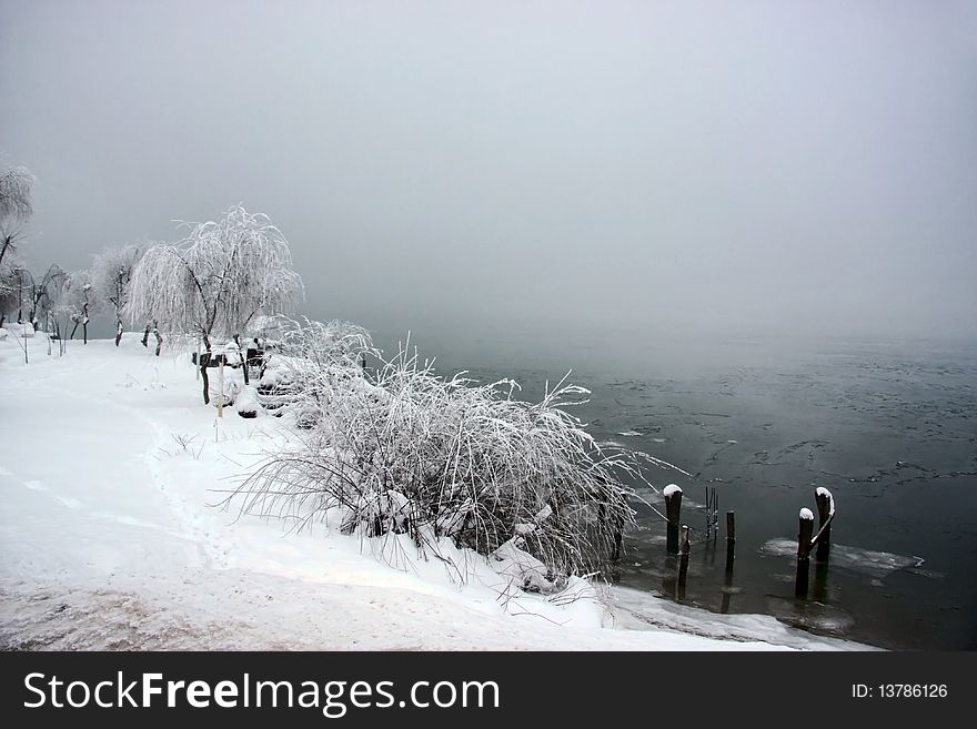 Snowy Misty Day Near A Lake