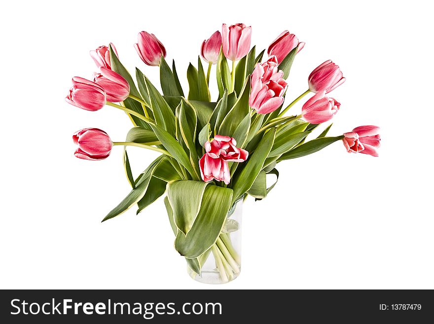 Bouquet Of Bright Tulips