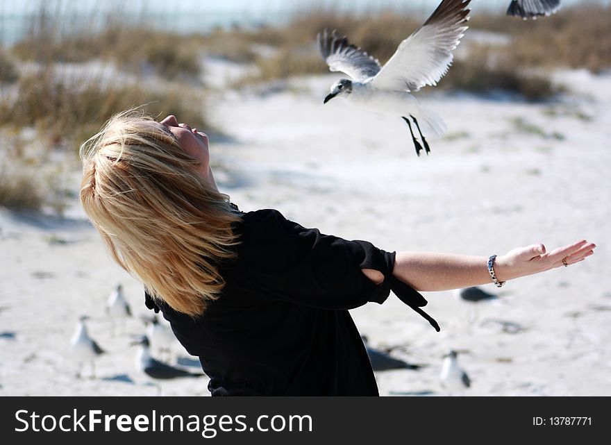 A woman playing with seagulls at the beach. A woman playing with seagulls at the beach.
