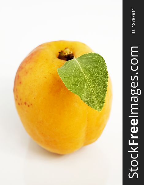 An apricot on a white background