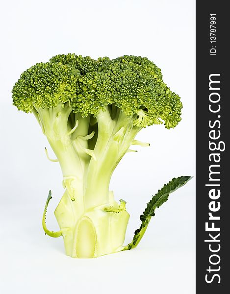 Single Broccoli floret isolated on white background. Single Broccoli floret isolated on white background
