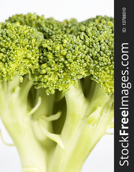 Close-up of Broccoli
Isolated on white background. Close-up of Broccoli
Isolated on white background