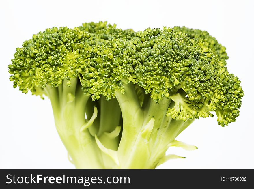 Broccoli Florets against white background