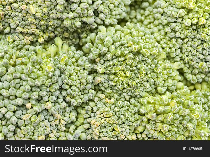 Close-up of Broccoli Florets