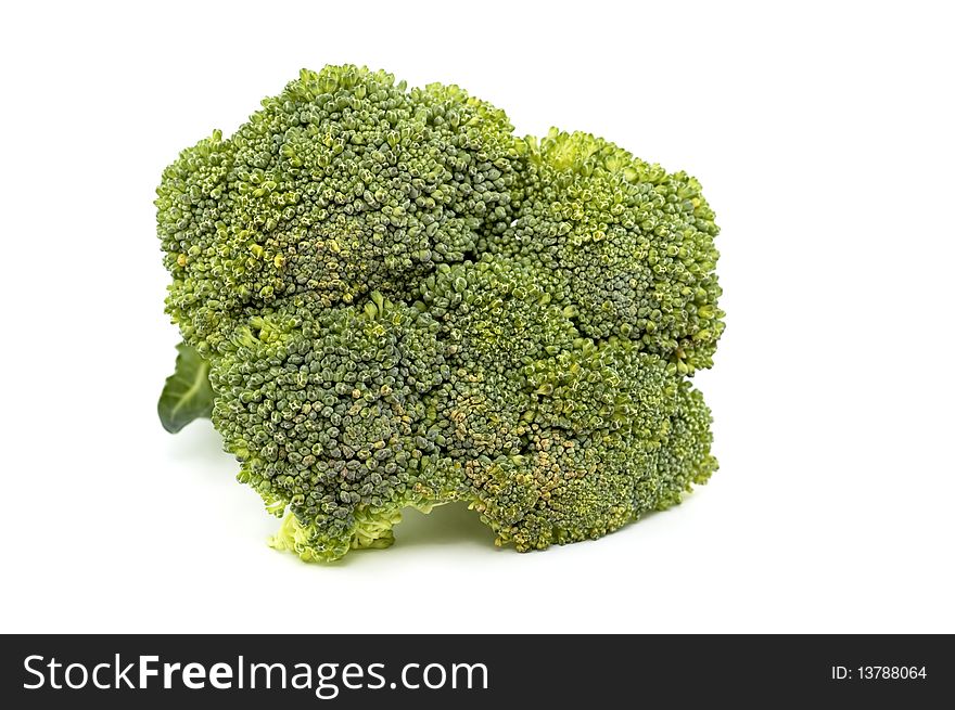 Broccoli isolated on white background