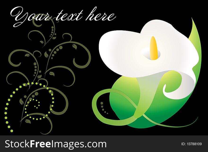 Ornate card witk white kalla flower