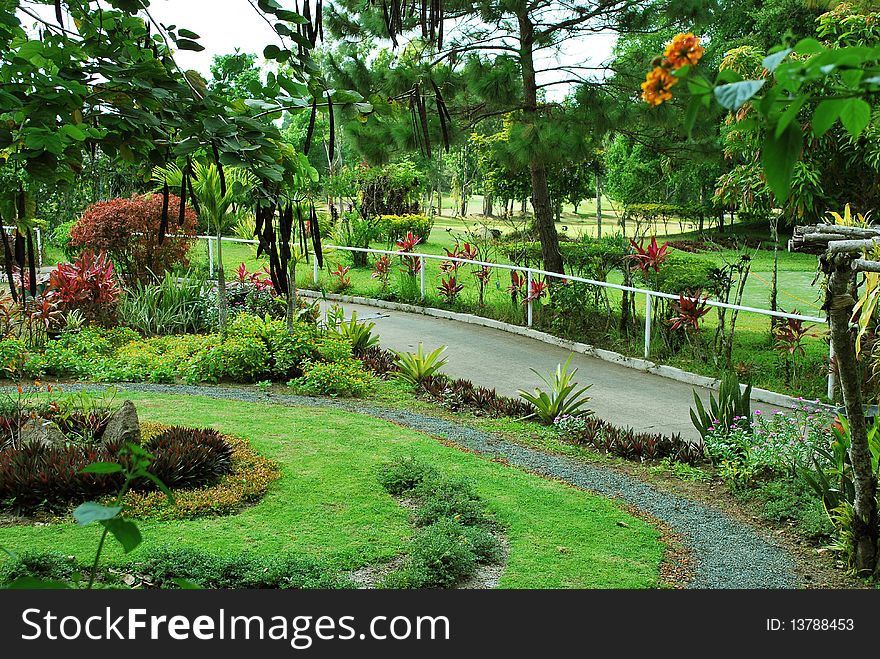 A full view of outdoor garden