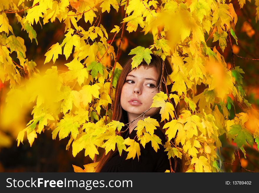 Autumn girl, beautiful girls portrait