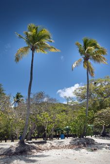 Saint Thomas, US Virgin Islands Stock Photos Saint Thomas, US Virgin Islands Stock Photos