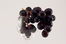 Grapes Cluster Royalty Free Stock Photos