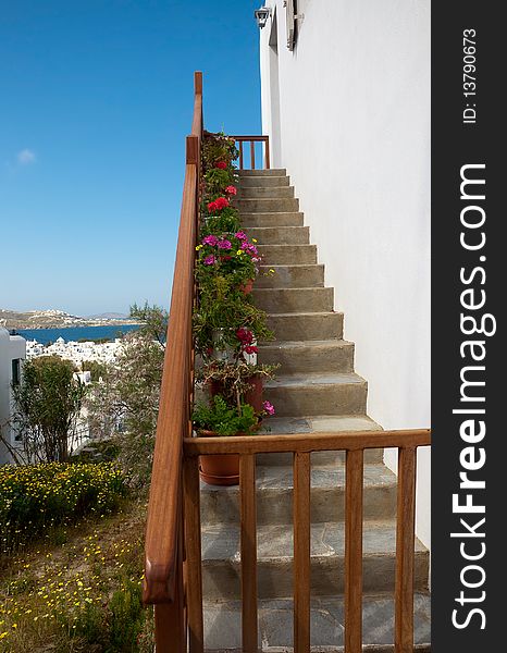 Stairs with flowers in pots