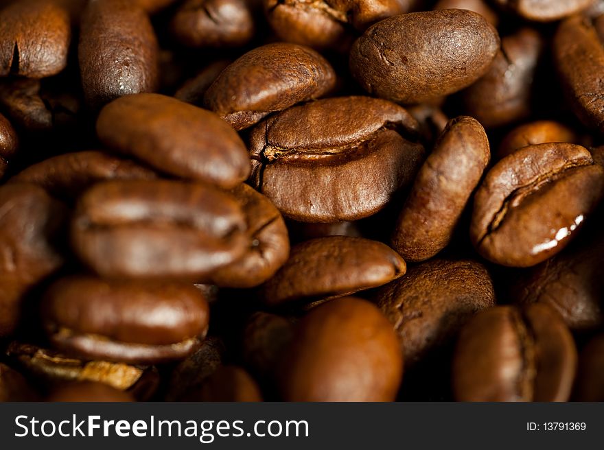 Close-up of individual coffee beans