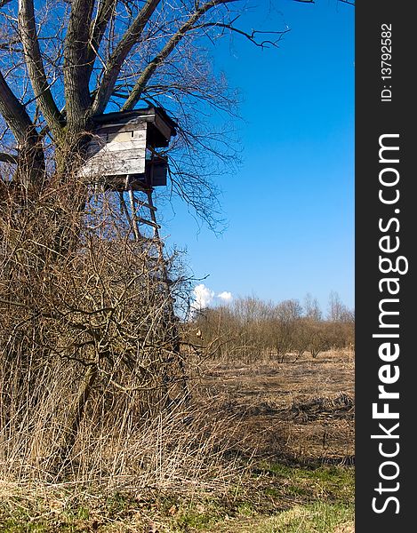 Perch on the edge of the bird reserve in Windischleuba