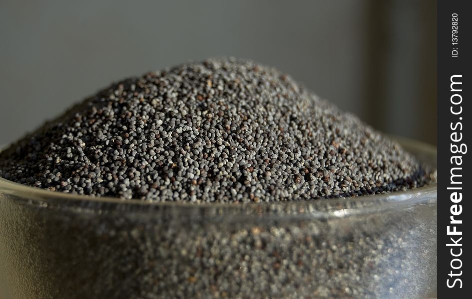 Poppy seeds in a glass tea-bowl Papaver Somniferum