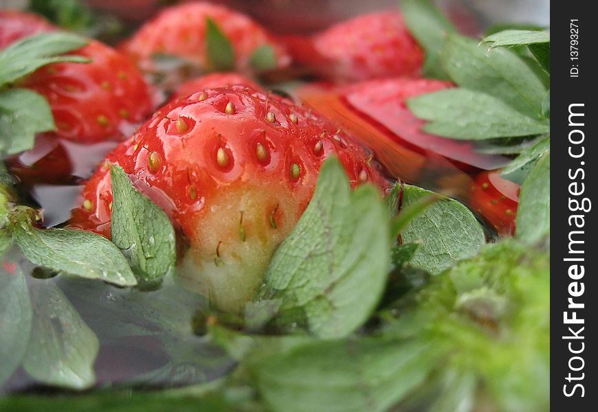 Fresh Strawberries ready to be eaten