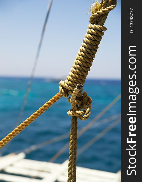 The cord fastened in sea knot. The cord fastened in sea knot