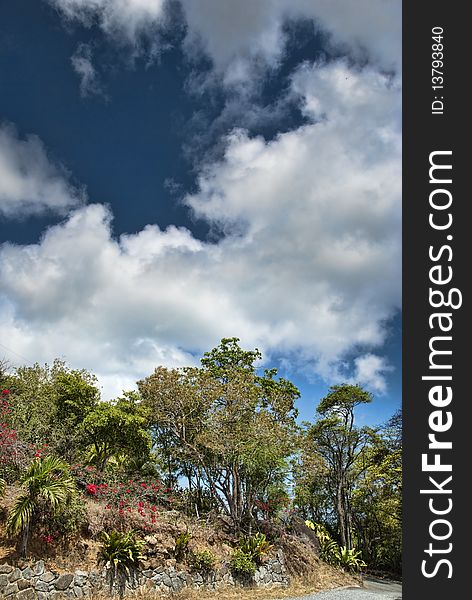 Saint Thomas Landscape and Colors, Caribbean. Saint Thomas Landscape and Colors, Caribbean