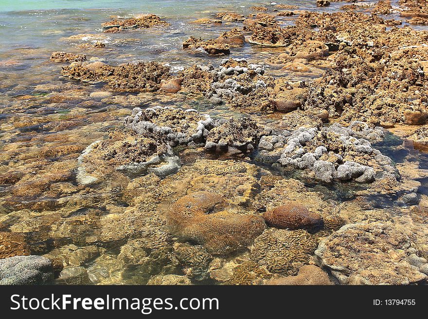 View To The Coastline Of Thailand From Coral Reef