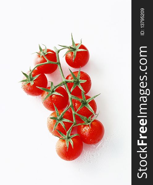 Branch with mature tomatoes on a white background