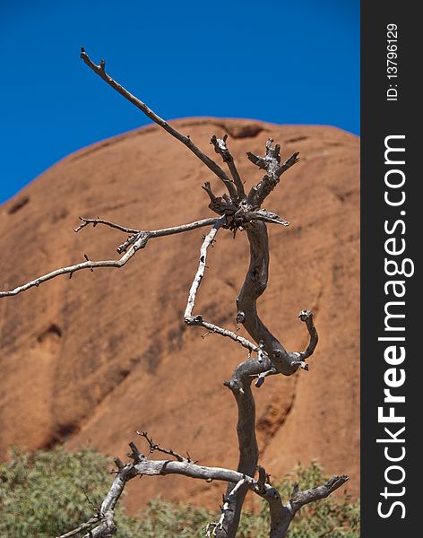 Australian Outback during Austral Winter, 2009