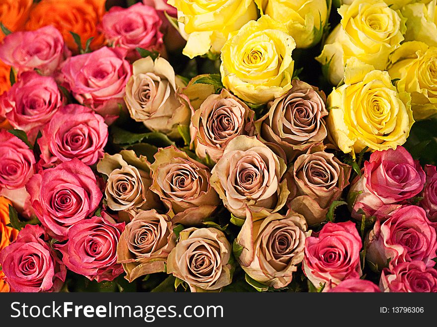 Colored Artificial Flowers in a Tuscan Market, Italy. Colored Artificial Flowers in a Tuscan Market, Italy