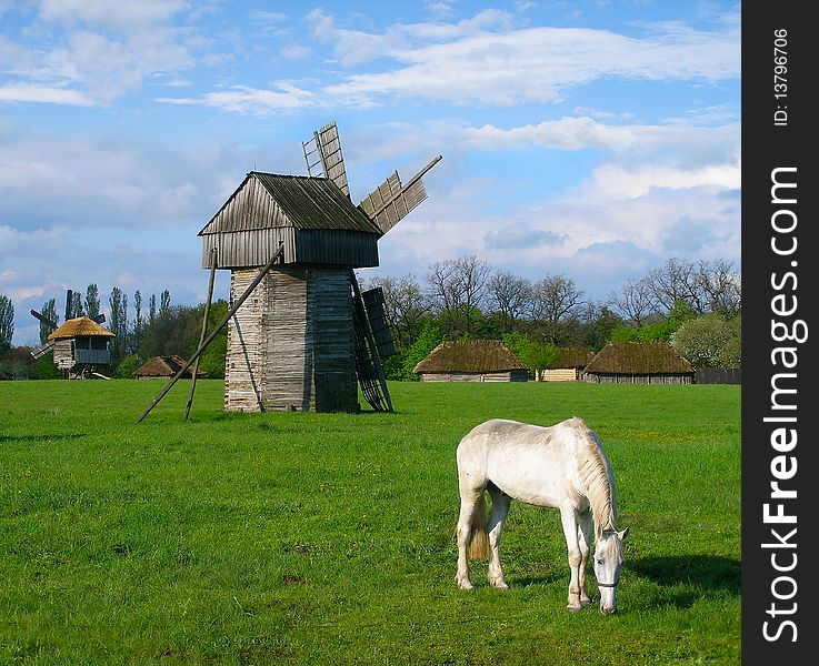 A white horse grazing near a wooden mill on the spring meadow near the old village. A white horse grazing near a wooden mill on the spring meadow near the old village