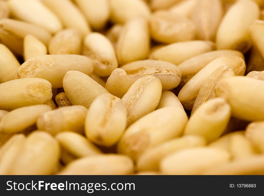 Close-up of Wheat used for producing flour, beer, alcohol, vodka or bio-fuel. Close-up of Wheat used for producing flour, beer, alcohol, vodka or bio-fuel