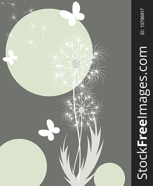 Modern floral design with dandelions and butterflies. Modern floral design with dandelions and butterflies