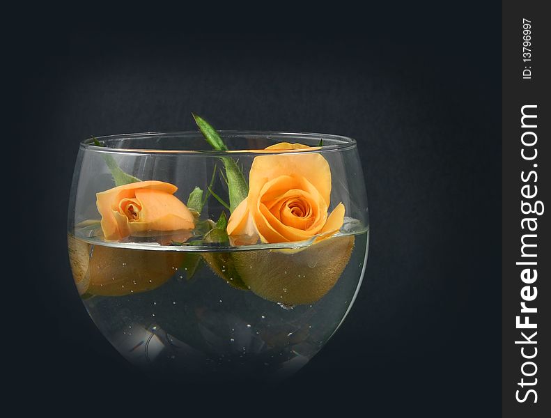 Buds of roses in a wineglass on black background