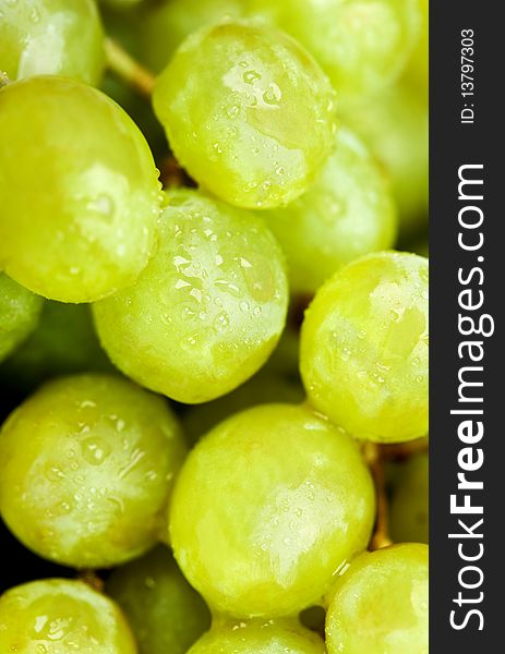 Ripe green grapes with drops of water