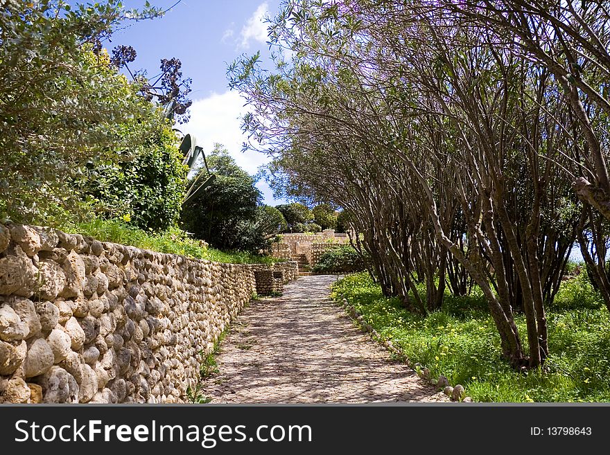 Mediterranean Park At Sea,with Footpath