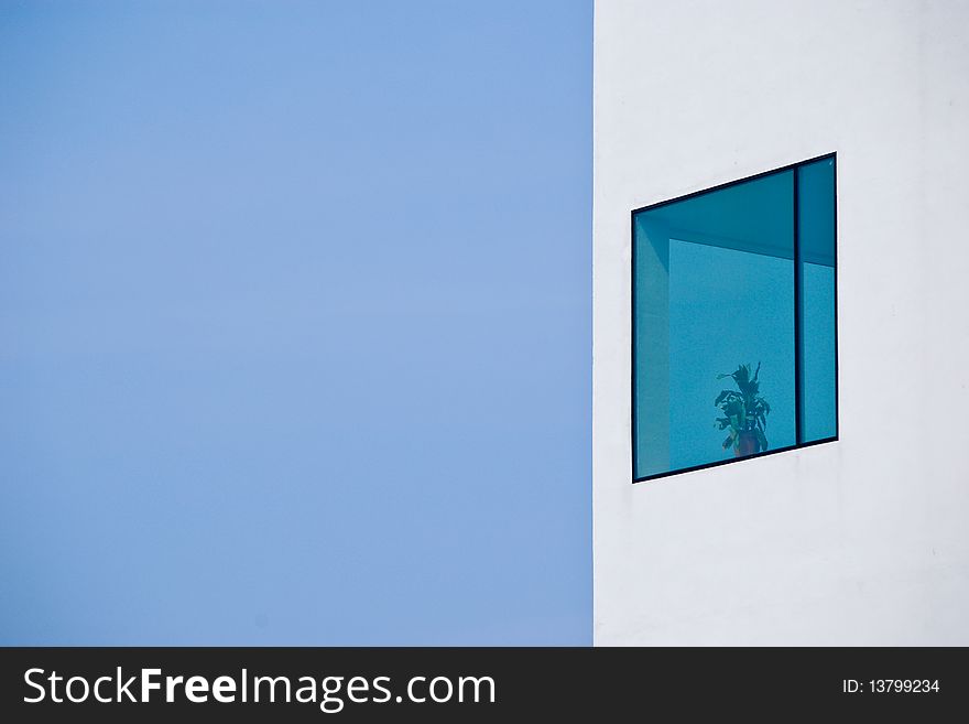 Modern white building with window showing a plant. Modern white building with window showing a plant.