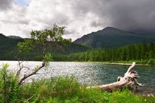 Green Lake, Log And Mountains. Stock Images Green Lake, Log And Mountains. Stock Images
