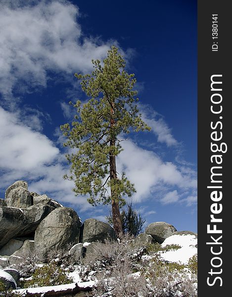 Blue Sky And Snow - lake Tahoe, California