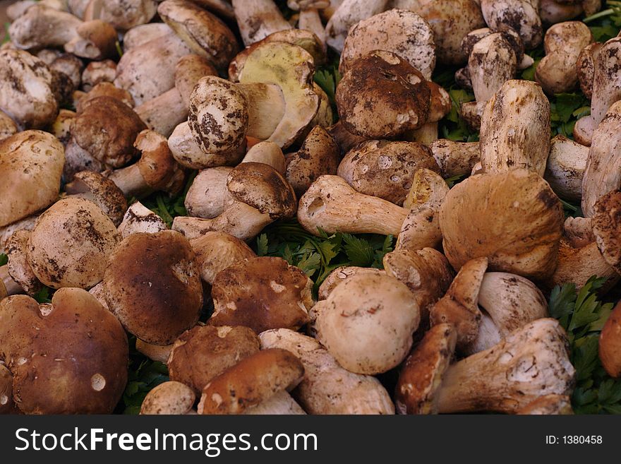 Seasonal wild mushrooms for sale in french market