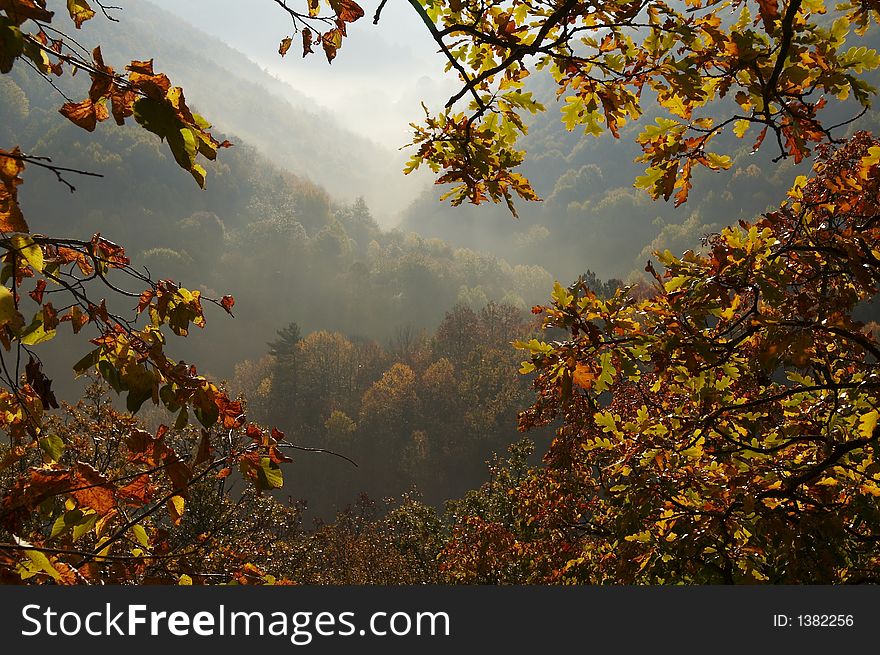 Autumn forest in the Crimea mountain. Autumn forest in the Crimea mountain