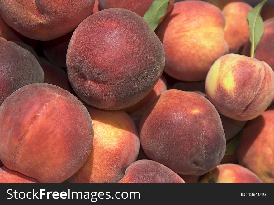 Lots of Fresh Picked Peaches