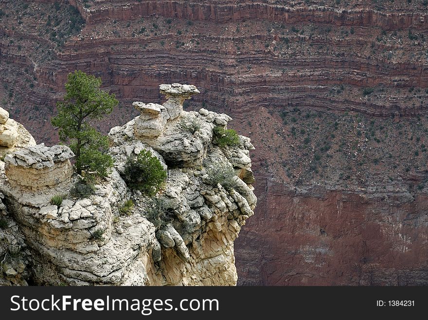 Single tree suspended on rocks. Single tree suspended on rocks