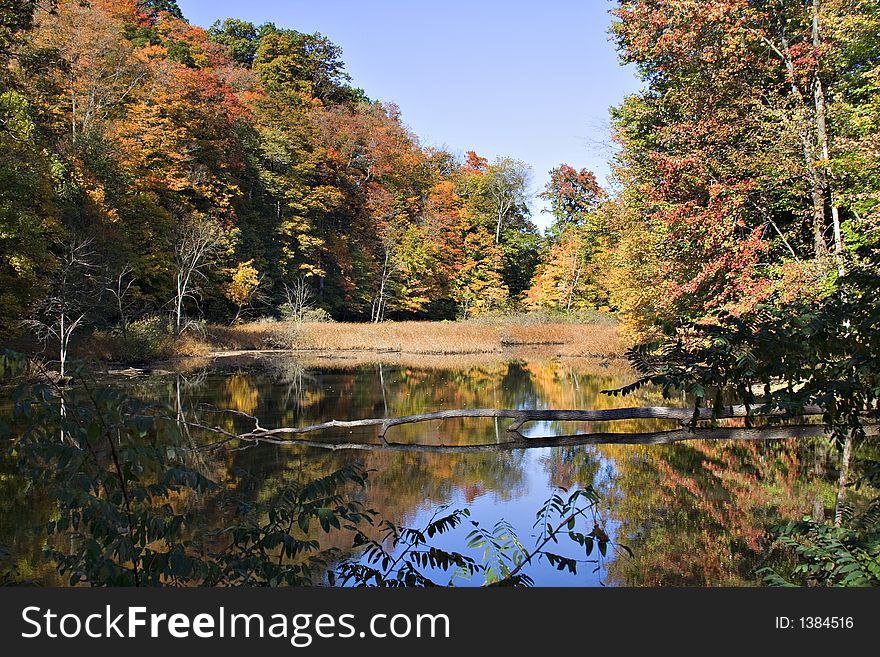 A autumn landscape of water with reflection, trees on a beautiful October day in Ohio. A autumn landscape of water with reflection, trees on a beautiful October day in Ohio.