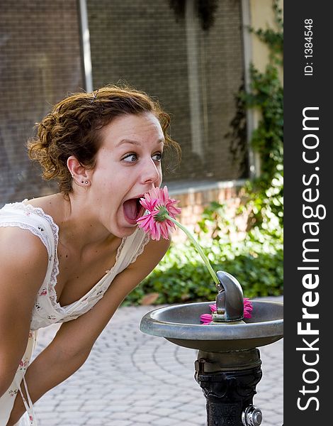 Picture of a teen drinking from a water foutain, with a gerber daisey in the water spout!  Having fun!. Picture of a teen drinking from a water foutain, with a gerber daisey in the water spout!  Having fun!