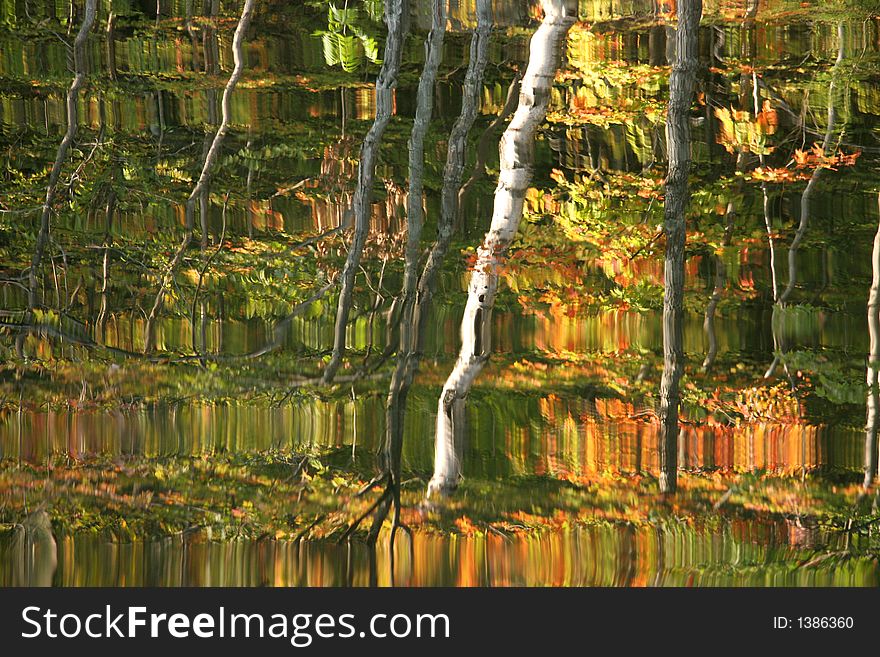 Autumn lake reflection