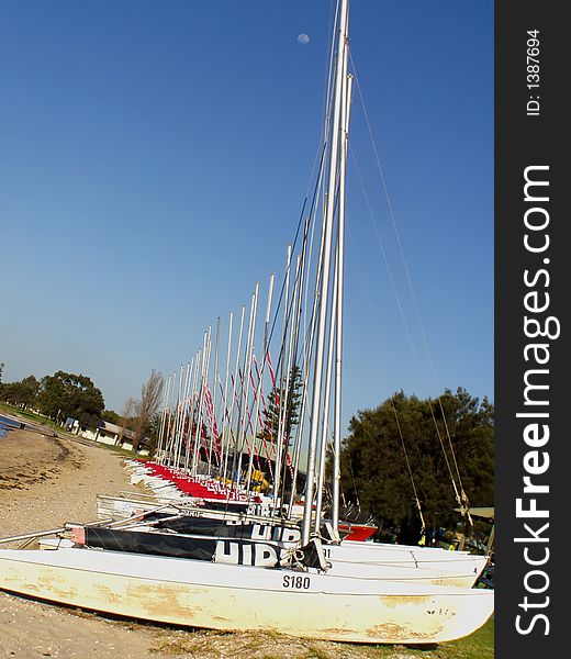 Sail boats in a row at beach