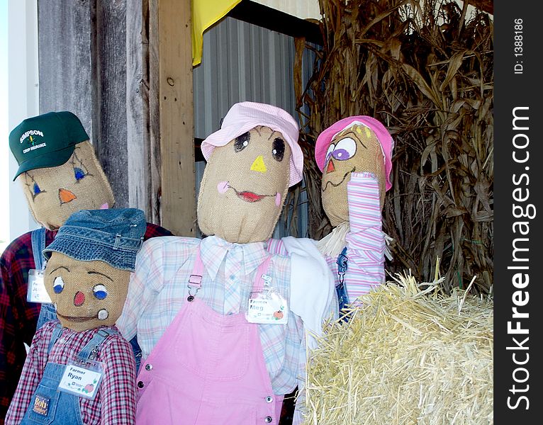 4 scarecrows dressed up as a family. 4 scarecrows dressed up as a family