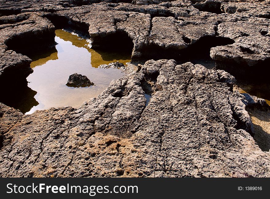 The rocky seashore of Gozo island. The rocky seashore of Gozo island