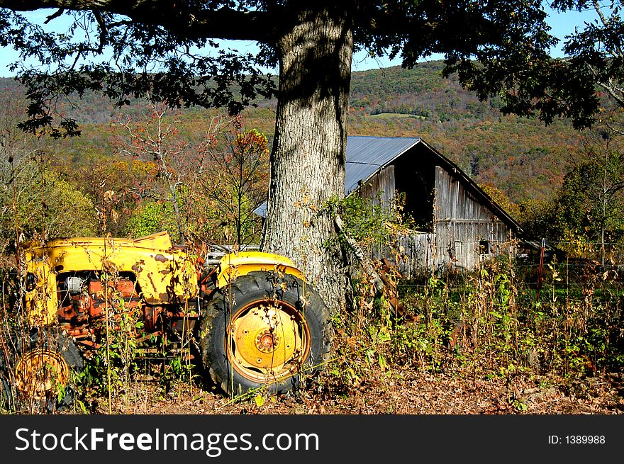 Old tractor sets beside tree with a barn in the distance.  The tractor is overgrown with weeds and is yellow. Old tractor sets beside tree with a barn in the distance.  The tractor is overgrown with weeds and is yellow.